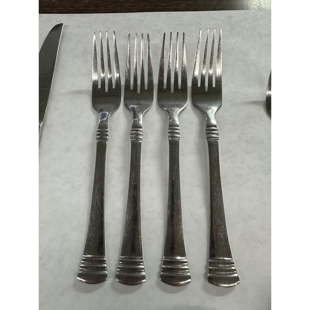 Cambridge Stainless China Codie 41 Pc Flatware Set - Picture 3 of 10